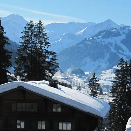 Monique Nr- 1 By Interhome Apartamento *